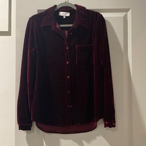 L’Academie button down